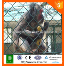 Made in China Galvanizado Cadeia Link Cercas são usados ​​em lugar de proteção como zoológico